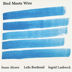 Bird Meets Wire - Relative Pitch Records