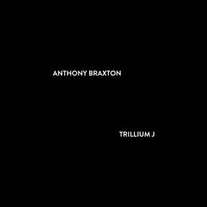 Trillium J: The Non-Unconfessionables - Composition No. 380 - New Braxton House