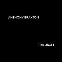 Trillium J: The Non-Unconfessionables - Composition No. 380