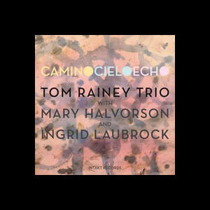 Tom Rainey Trio - Camino Cielo Echo - Intakt Records