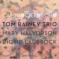 Tom Rainey Trio - Camino Cielo Echo